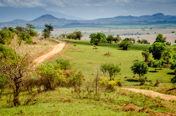 Kidepo Valley National Park