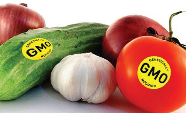 GMO Food