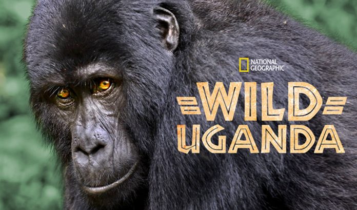 Wild Uganda
