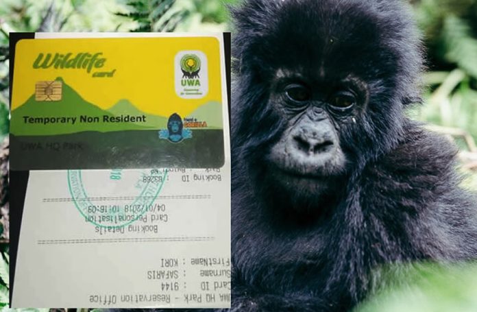 Gorilla Permit