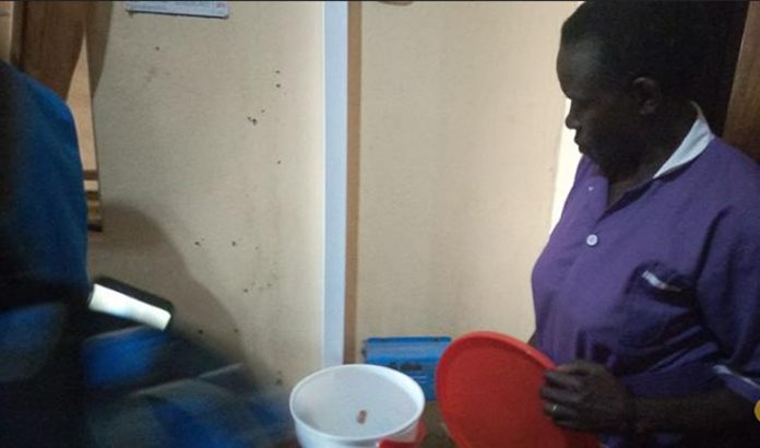 Arua Nurse Shows the Frog Found in Woman Placenta