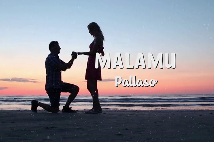 Malamu by Pallaso