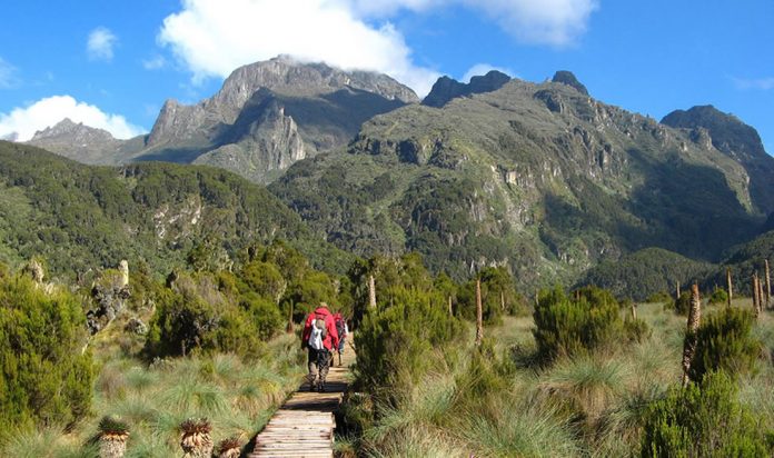 Rwenzori Mountains