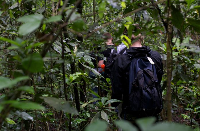 Kibale Forest National Park