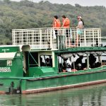 queen-elizabeth-boat-cruise