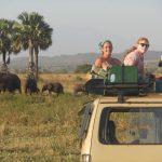 on-safari-enjoying-looking
