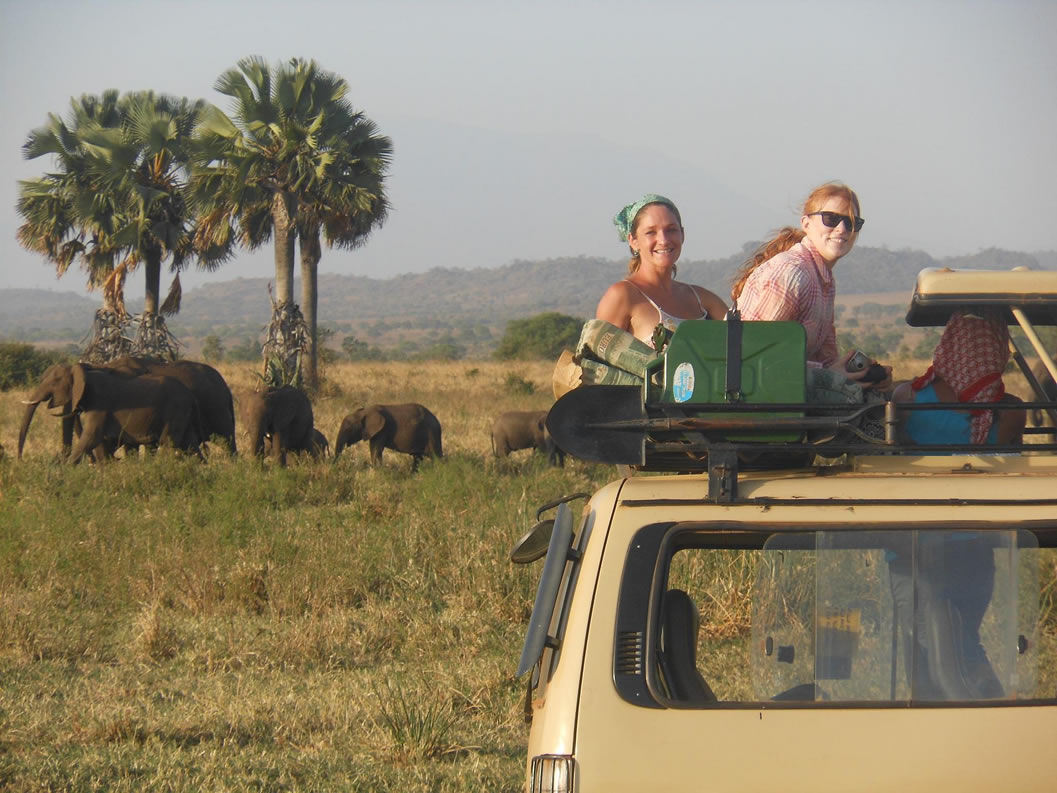 Game drive in kidepo np